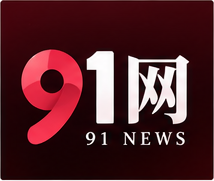 91次元品牌标识